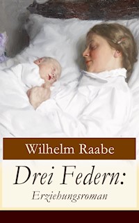 Drei Federn: Erziehungsroman - Wilhelm  Raabe - ebook