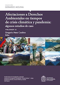 Afectaciones a Derechos Ambientales en tiempos de crisis climática y pandemia: algunos estudios de caso, volumen II - Carlos Andrés Muñoz - ebook