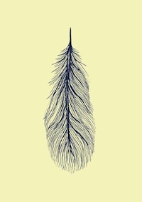 Jak robić nic - Odell Jenny - książka