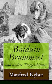 Balduin Brummsel und andere Tiergeschichten - Manfred Kyber - ebook
