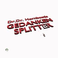 Gedankensplitter - Dr. Dr. Hornbostl - ebook