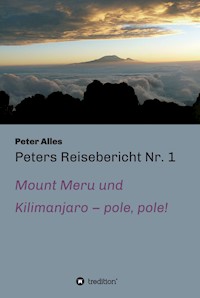 Peters Reisebericht Nr. 1 - Peter Alles - ebook