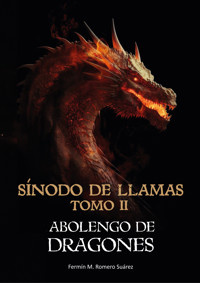 Sínodo de llamas - Fermín Romero - ebook