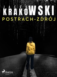Detektyw Laura Sawicka. Postrach-Zdrój - Jacek Krakowski - ebook
