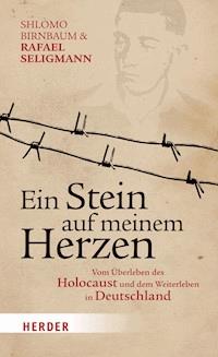 Ein Stein auf meinem Herzen - Shlomo Birnbaum - ebook