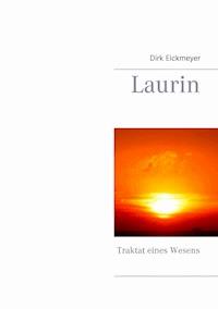 Laurin - Dirk Eickmeyer - ebook