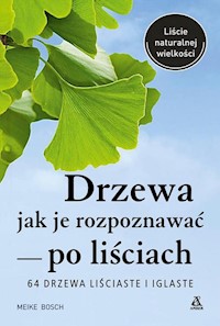 Drzewa - jak je rozpoznawać po liściach - Bosch Meike - książka