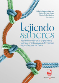 Tejiendo saberes. Hacia el modelo de la triple hélice teórico-práctica para la formación de profesores de física - Lisbeth Lorena Alvarado Guzmán - ebook
