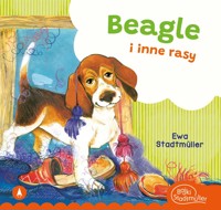 Beagle i inne rasy - Ewa Stadtmller - książka