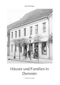 Häuser und Familien in Demmin - David Krüger - ebook