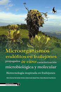 Microorganismos endófitos en frailejones propagados in vitro: caracterización microbiológica y molecular. - María Yecenia Hernández Herrera - ebook