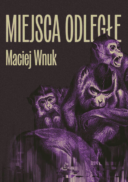 Miejsca odległe - Maciej Wnuk - ebook + książka