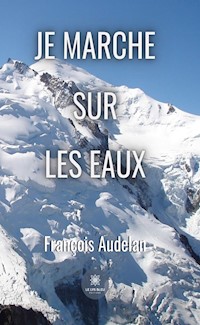 Je marche sur les eaux - François Audelan - ebook