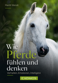 Wie Pferde fühlen und denken - Marlitt Wendt - ebook