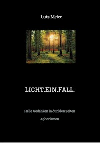 Licht.Ein.Fall. - Lutz Meier - ebook