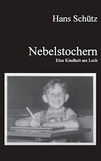 Nebelstochern - Eine Kindheit am Lech - Hans Schütz - ebook