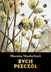 Życie pszczół - Maurice Maeterlinck - ebook + audiobook + książka