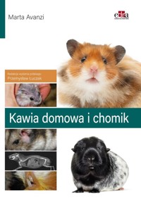 Kawia domowa i chomik - Avanzi M. - książka