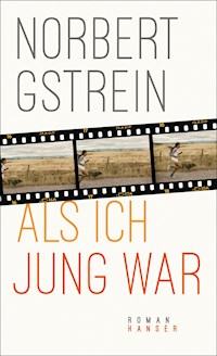 Als ich jung war - Gstrein Norbert - ebook
