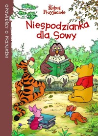 Niespodzianka dla Sowy -  - książka
