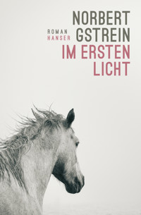Im ersten Licht - Gstrein Norbert - ebook