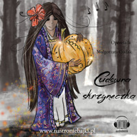 Cudowna skrzyneczka - Na Stronie Bajki - audiobook