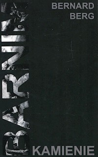 Barnim kamienie - Bernard Berg - książka