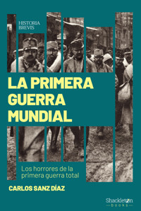 La Primera Guerra Mundial - Carlos Sanz Díaz - ebook