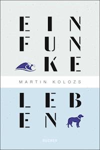 Ein Funke Leben - Martin Kolozs - ebook