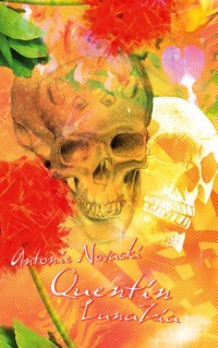 Quentin I - Antonie Novacki - ebook