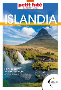 Islandia – Carnet de viaje - VVAA - ebook