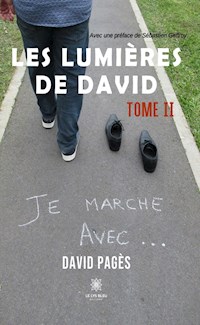 Les lumières de David - Tome 2 - David Pagès - ebook