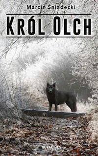 Król Olch - Marcin Śniadecki - książka