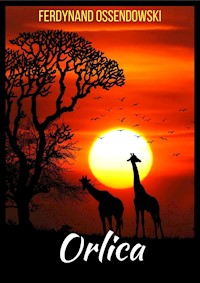 Orlica - Ossendowski Ferdynand - ebook