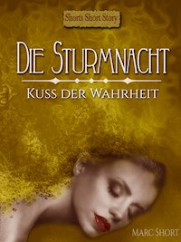 Die Sturmnacht - Marc Short - ebook