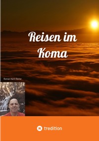 Reisen im Koma - Roman Hartl-Reiter - ebook