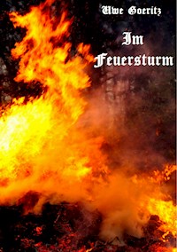 Im Feuersturm - Uwe Goeritz - ebook