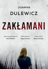 Zakłamani - Dulewicz Joanna - ebook + książka