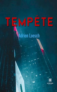 Tempête - Adrien Loesch - ebook