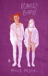 Małe pająki - Barys Łukasz - ebook + książka