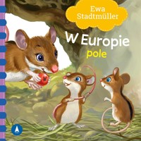 W Europie. Pole - Ewa Stadtmller - książka