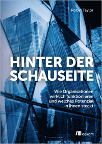 Hinter der Schauseite - Robin Taylor - ebook