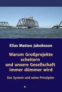 Warum Großprojekte scheitern und unsere Gesellschaft immer dümmer wird - Elias Matteo Jakobsson - ebook
