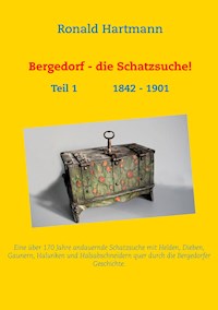 Bergedorf - die Schatzsuche! - Ronald Hartmann - ebook
