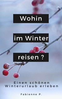 Wohin im Winter reisen ? - Fabienne P. - ebook