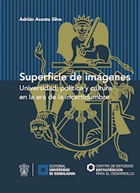 Superficie de imágenes - Adrián Acosta Silva - ebook
