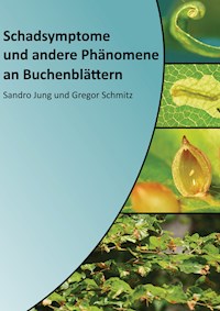 Schadsymptome und andere Phänomene an Buchenblättern - Sandro Jung - ebook