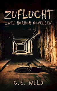 Zuflucht - Christoph Elias Wild - ebook