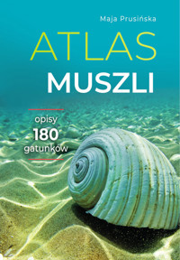 Atlas muszli - Maja Prusińska - książka