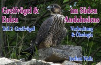 Greifvögel und Eulen im Süden Andalusiens Teil 2 Greifvögel - Jochen Walz - ebook